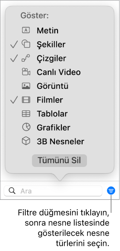 Listenin içerebileceği nesne türlerinin (metin, şekiller, çizgiler, görüntüler, filmler, tablolar ve grafikler) bir listesini içeren, açık haldeki Filtre açılır menüsü.