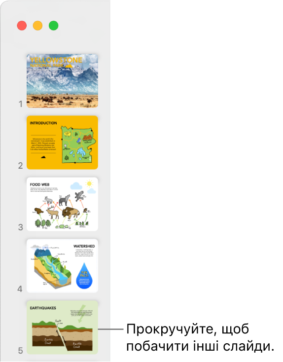 Навігатор слайдів відображає послідовно пʼять слайдів вертикально, відображаються опції для прокрутки вниз і відображення більшої кількості слайдів.