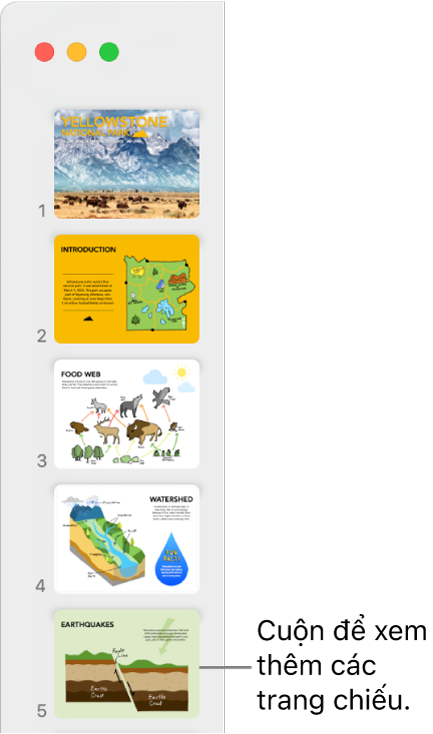 Trình điều hướng trang chiếu mô tả năm trang chiếu theo chiều dọc theo thứ tự tuần tự, với tùy chọn cuộn xuống để xem các trang chiếu khác.