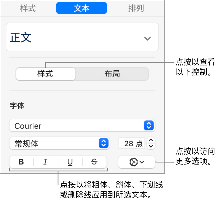 边栏中的“样式”控制，其中标注框指向“粗体”、“斜体”、“下划线”和“删除线”按钮。