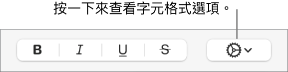 「粗體」、「斜體」和「底線」按鈕旁邊的「進階選項」按鈕。