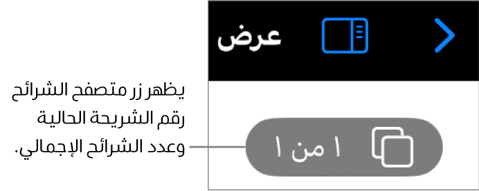 زر متصفح الشرائح يعرض رقم الشريحة الحالية والعدد الإجمالي للشرائح في العرض التقديمي.