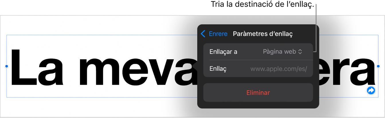 Controls “Paràmetres d’enllaç” amb l’opció “Pàgina web” seleccionada i el botó “Eliminar” situat a la part inferior.