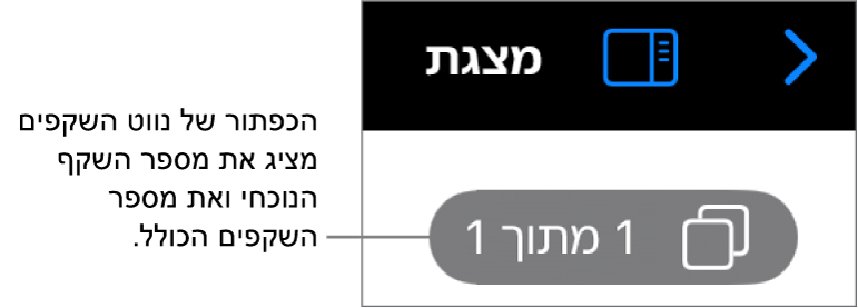 הכפתור של נווט השקפים, מציג את המספר של השקף הנוכחי ואת המספר הכולל של שקפים במצגת.