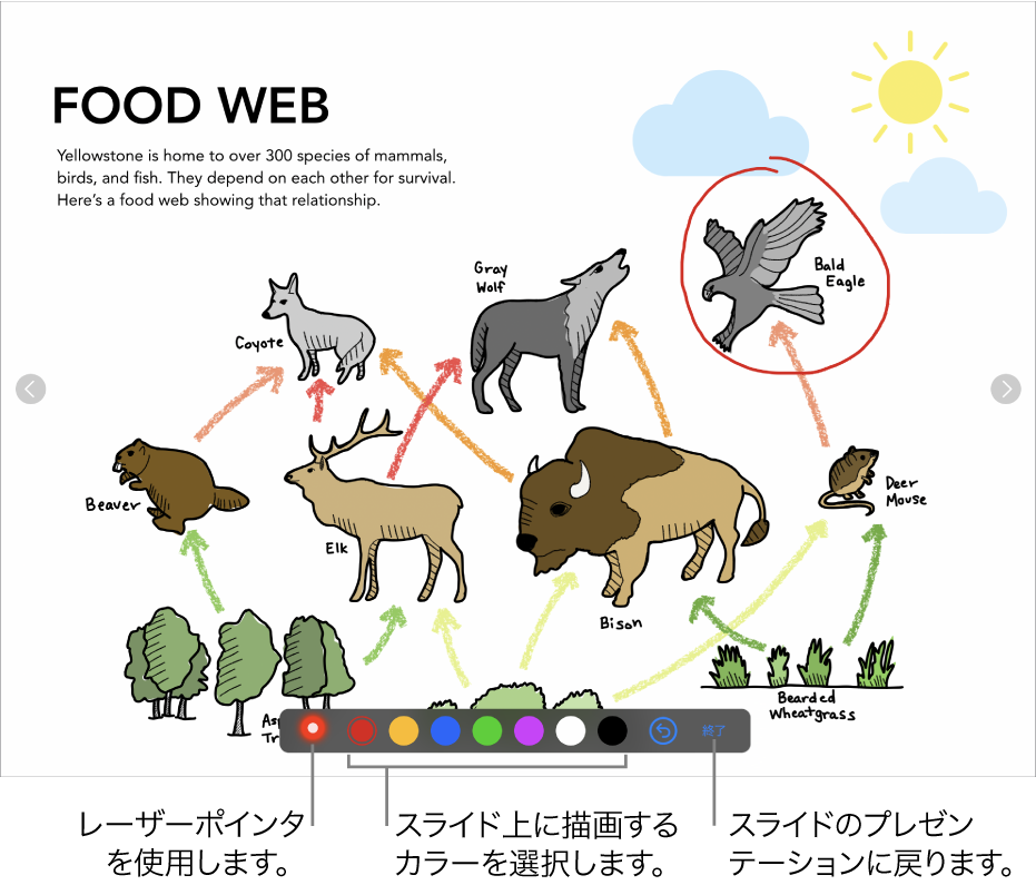 スライドの描画モードのスライド。レーザーポインタおよびカラー選択コントロールが表示された状態。