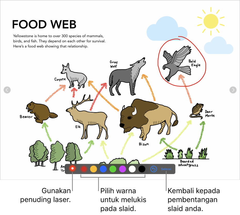 Mod ilustrasi slaid dalam slaid yang menunjukkan penuding laser dan kawalan pilihan warna.