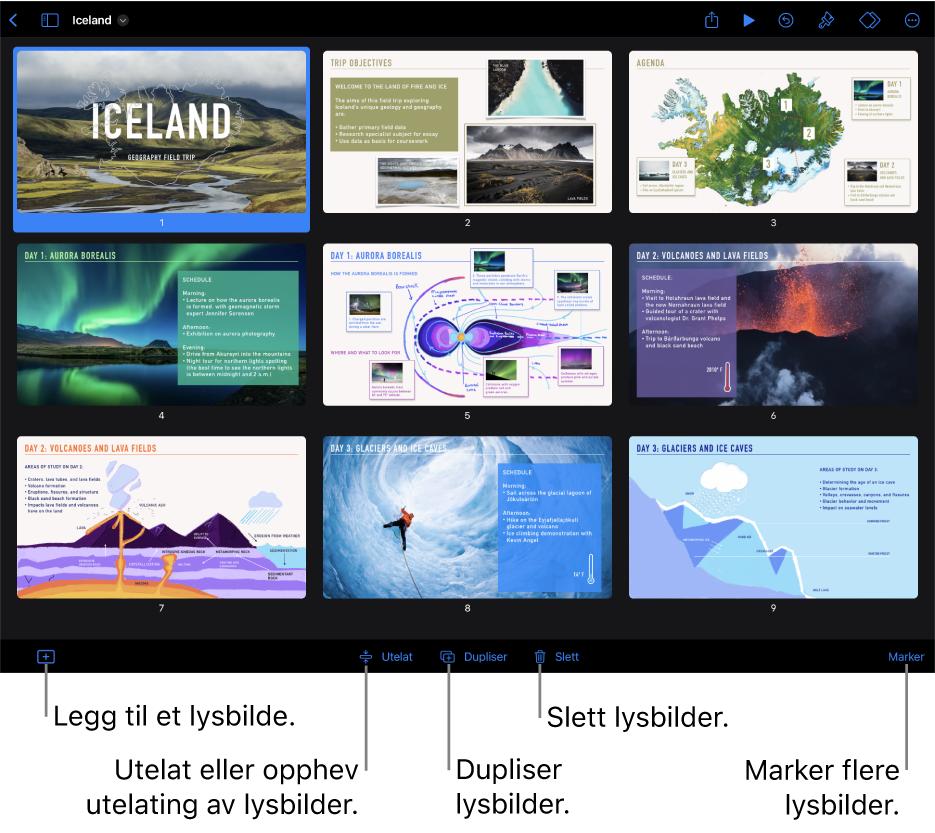 Lysbordvisningen, med knapper nederst på skjermen for å legge til, hoppe over, duplisere og slette lysbilder, og for å markere flere lysbilder.