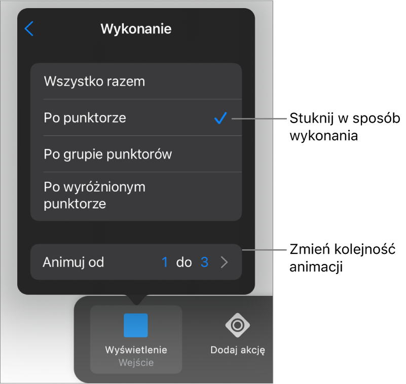 Opcje wykonania w panelu Wejście.