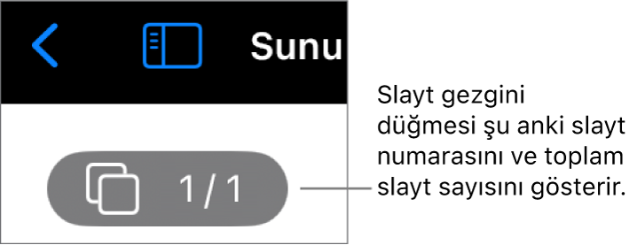 Şu anki slayt numarasını ve sunudaki toplam slayt sayısını gösteren slayt gezgini düğmesi.