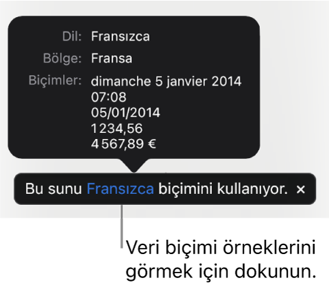 O dil ve bölgede kullanılan biçimlendirme örneklerini gösteren, farklı dil ve bölge ayarı bildirimi.