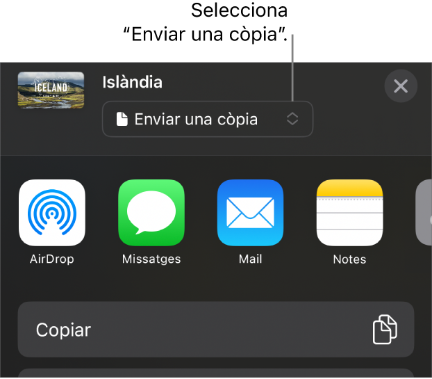 Menú “Compartir” amb l’opció “Enviar una còpia” seleccionada a la part superior.