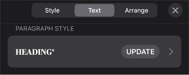 A paragraph style with an asterisk next to it and an Update button on the right.