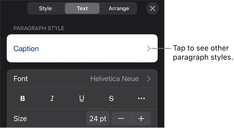 The Format menu showing text controls for setting paragraph and character styles, font, size, and color.