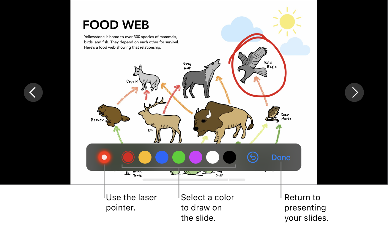 A slide in slide illustration mode showing the laser pointer and color selection controls.