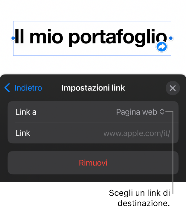 I controlli delle impostazioni dei link con la pagina web selezionata e con il pulsante per rimuovere il link mostrato in basso.