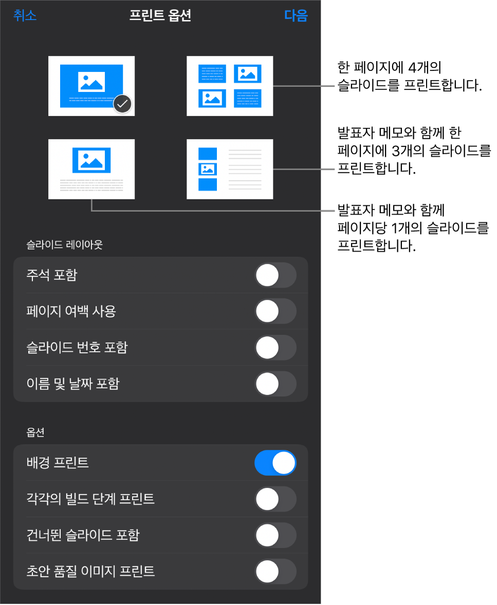 프린트 레이아웃 옵션.