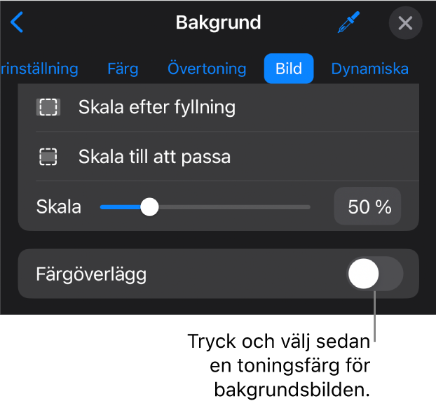 Bakgrundsreglagen med en bild inställd som diabildsbakgrund och reglaget Färgöverlägg längst ned.