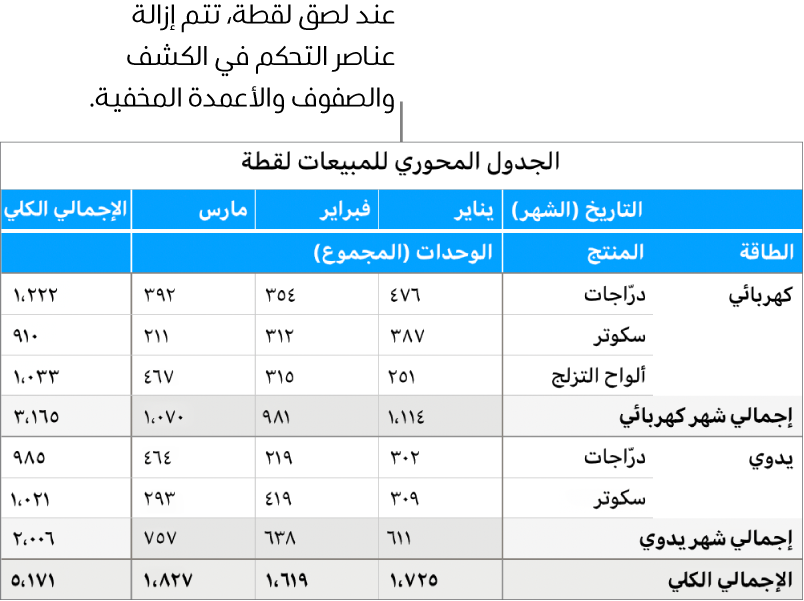 لقطة لجدول محوري.