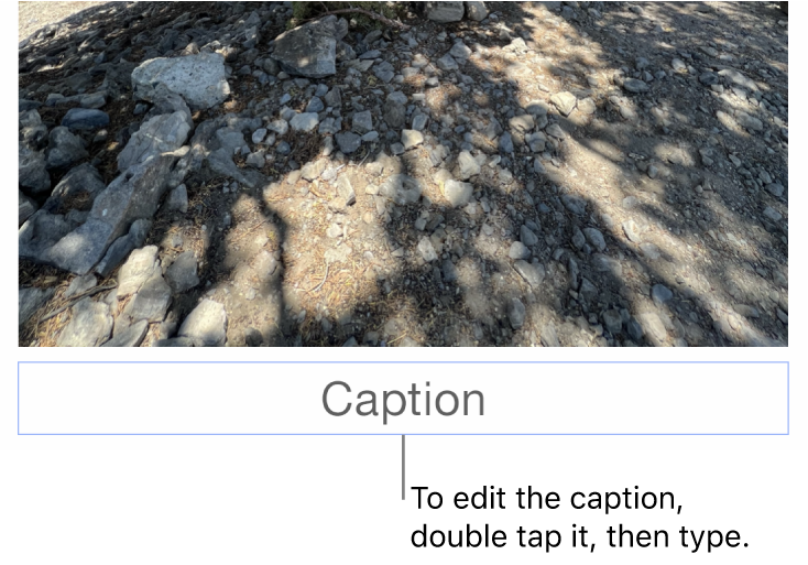 The placeholder caption, “Caption”, appears below a photo; a blue outline around the caption field shows it’s selected.