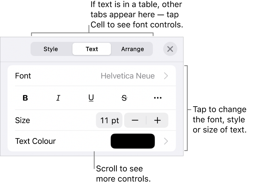 Text controls in the Format menu for setting paragraph and character styles, font, size and colour.