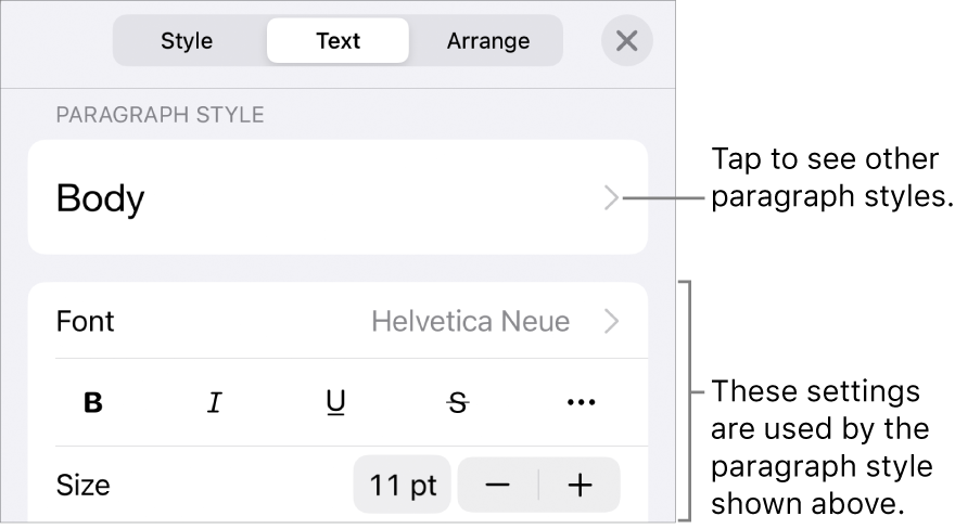 The Format menu showing text controls for setting paragraph and character styles, font, size, and color.