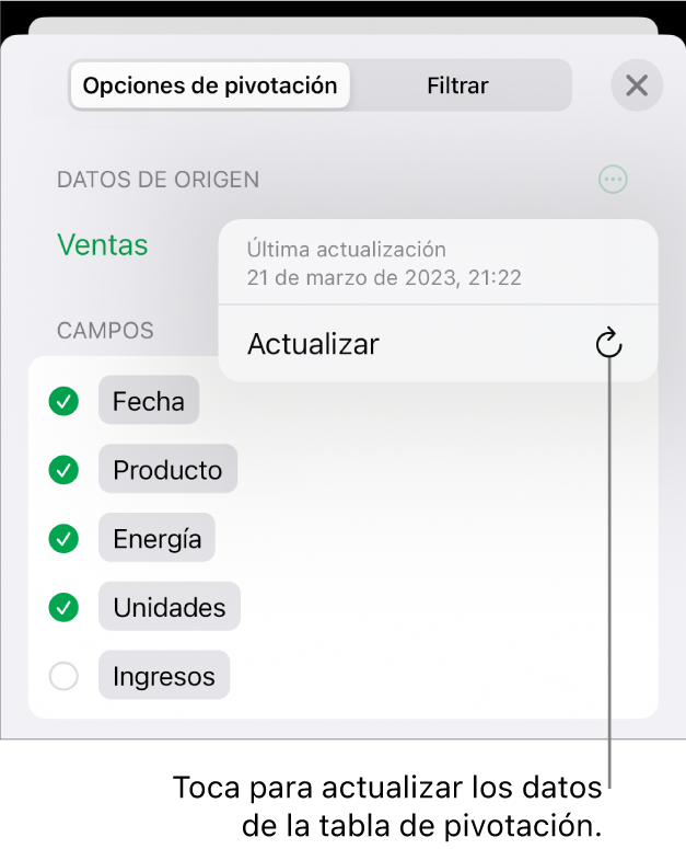 Pestaña “Opciones de pivotación” que muestra la opción de actualizar la tabla de pivotación.