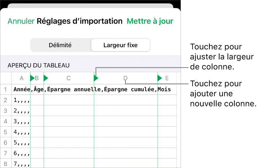 Réglages d’importation d’un fichier texte à largeur fixe.