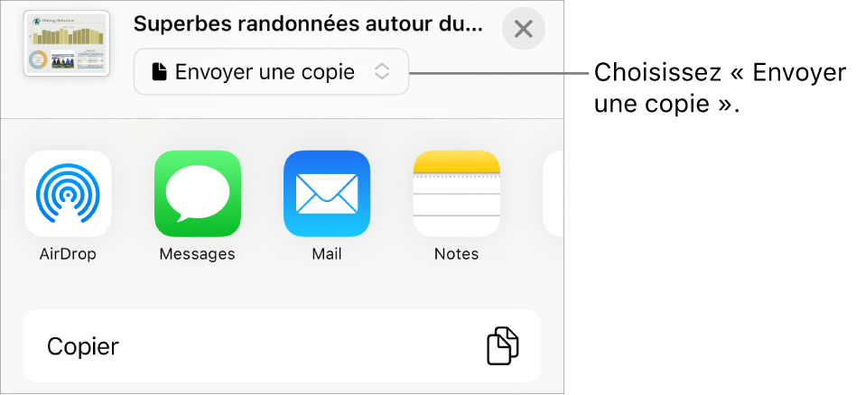 Le menu Partager avec l’option Envoyer une copie sélectionnée en haut.