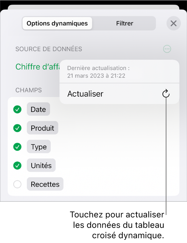 Menu Options dynamiques affichant l’option d’actualisation du tableau croisé dynamique.