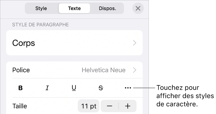 Les commandes de mise en forme avec les styles de paragraphe en haut, suivis des commandes de police. En dessous de Police se trouvent les boutons Gras, Italique, Souligné, Barré et « Plus d’options de texte ».