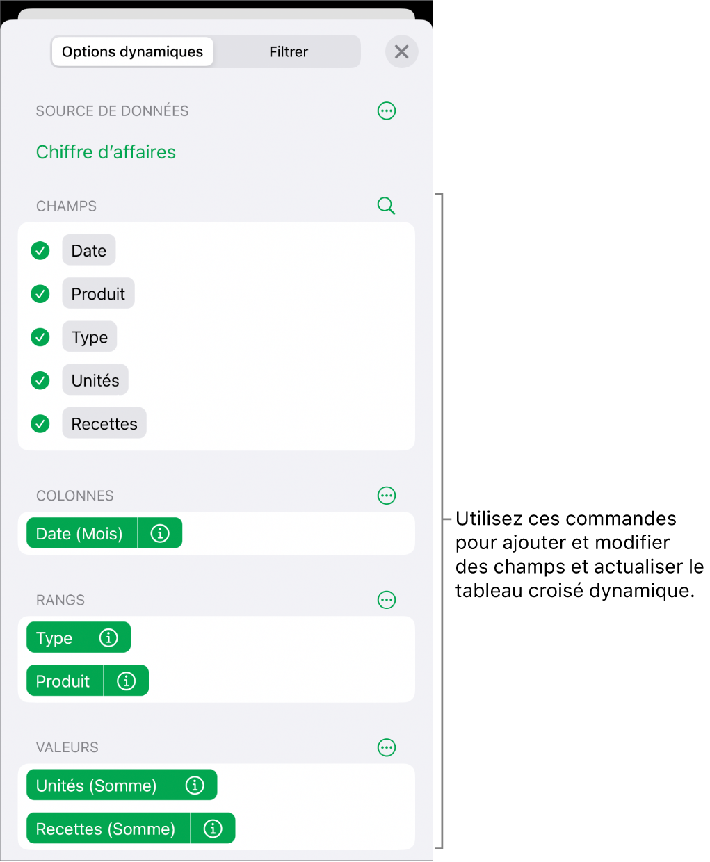 Le menu « Options dynamiques » affichant des champs dans les sections Colonnes, Rangs et Valeurs, ainsi que des commandes permettant de modifier les champs.