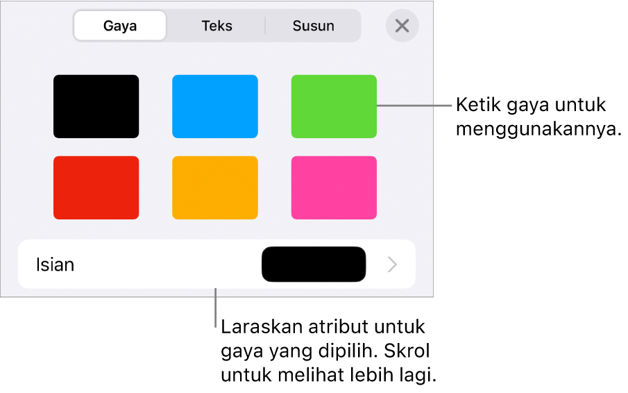 Anak tetingkap Gaya pada butang Format dengan gaya objek di bahagian atas dan kawalan di bawahnya untuk menukar isian.