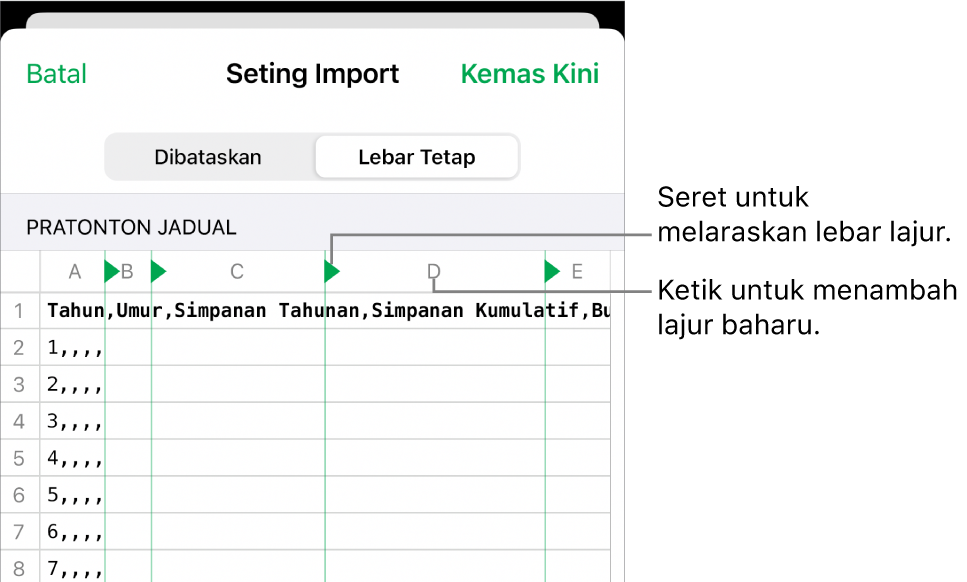 Seting import untuk fail teks lebar tetap.