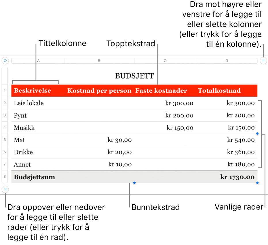 En tabell som viser tittelrader og -kolonner, vanlige rader og kolonner, bunnrader og -kolonner og håndtak for å legge til eller slette rader eller kolonner.