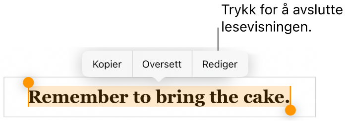 En setning er markert, og over den vises en kontekstmeny med knappene Kopier og Rediger.