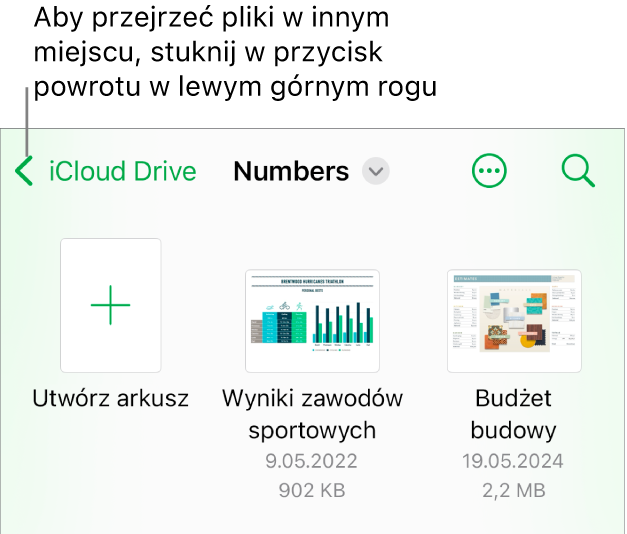 Menedżer arkuszy na iPhonie.