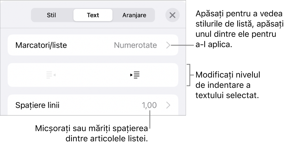 Secțiunea Marcatori/liste din comenzile Format cu explicații pentru Marcatori/liste, butoanele de indentare și indentare exterioară, precum și comenzile pentru spațierea liniilor.