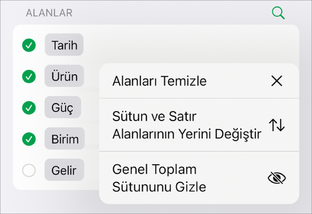 Genel toplamları gizleme, sütun ve satır alanlarını yer değiştirme ve alanları temizleme denetimlerini gösteren Daha Fazla Alan Seçeneği menüsü.