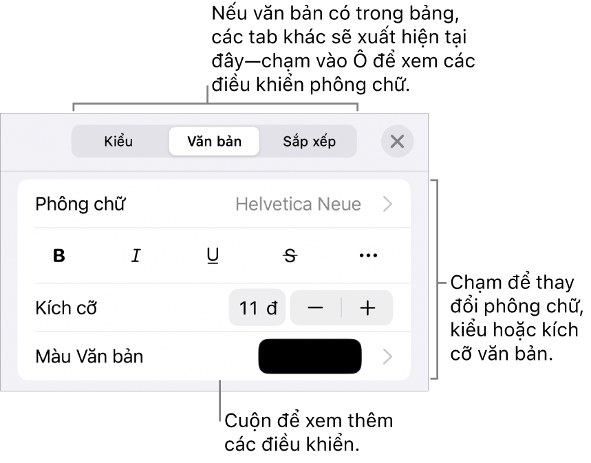 Các điều khiển văn bản trong menu Định dạng để đặt kiểu, phông chữ, kích cỡ và màu của đoạn và ký tự.