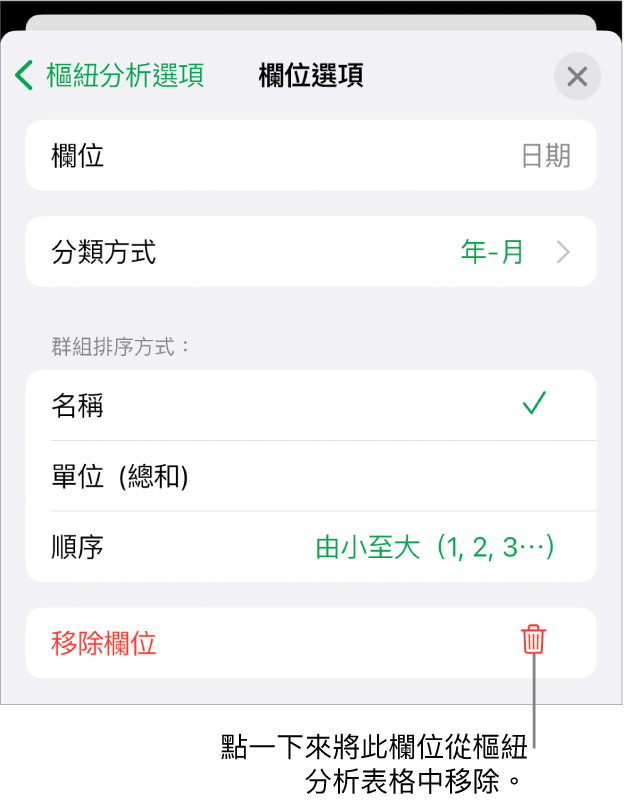 「欄位選項」選單，其顯示群組和排序資料的控制項目，以及移除欄位的選項。