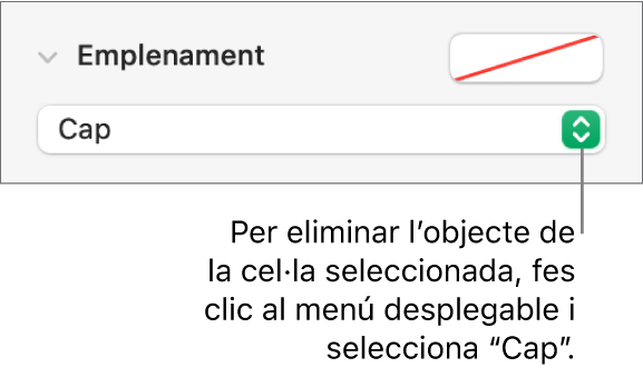 Control per eliminar un objecte d’una cel·la seleccionada.