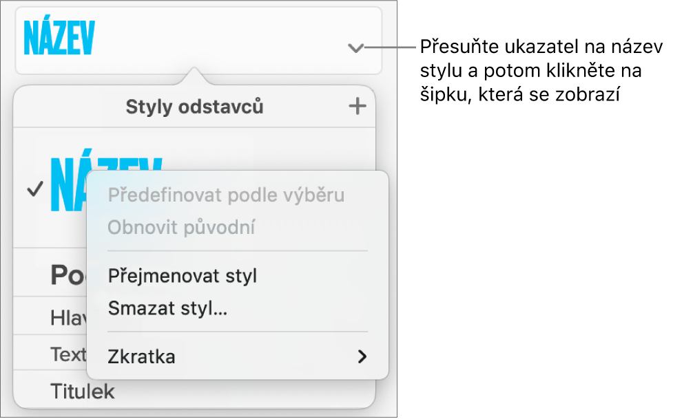 Nabídka Styly odstavců s otevřenou nabídkou zkratek.