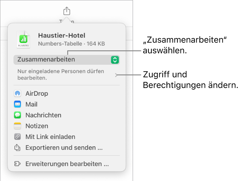 Im Menü „Teilen“ ist „Zusammenarbeiten“ oben ausgewählt und die Einstellungen für Zugriff und Berechtigungen befinden sich darunter.