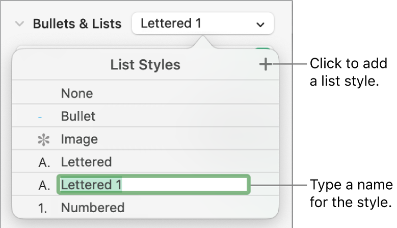 The List Styles pop-up menu with an Add button in the top-right corner and a placeholder style name with its text selected.