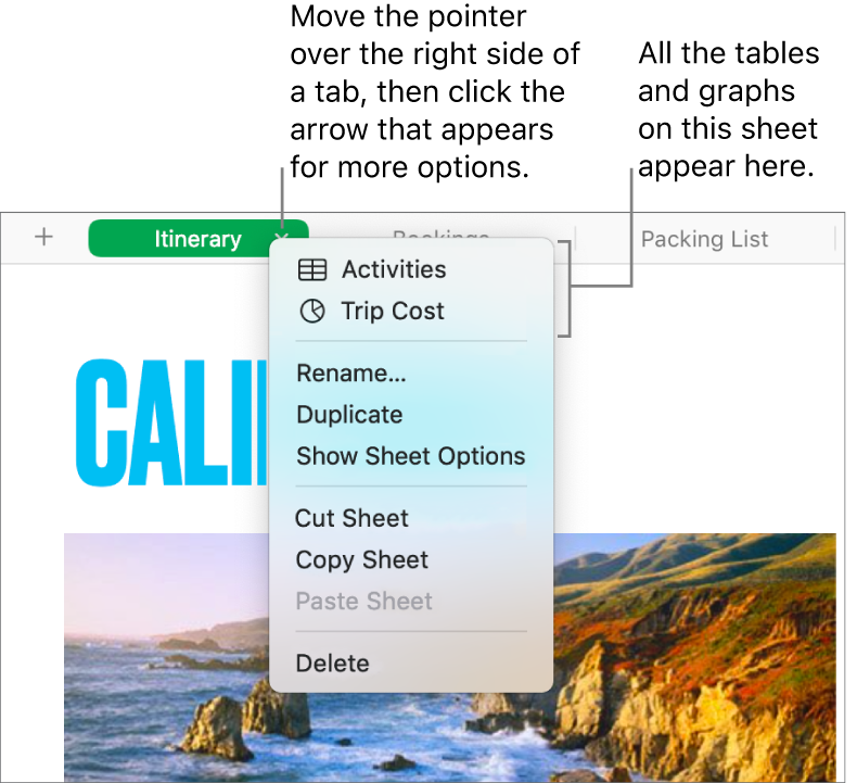 A spreadsheet tab with the shortcut menu open, showing options including Duplicate.