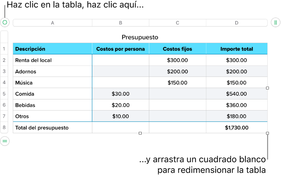 Una tabla seleccionada con cuadrados blancos para redimensionarla.