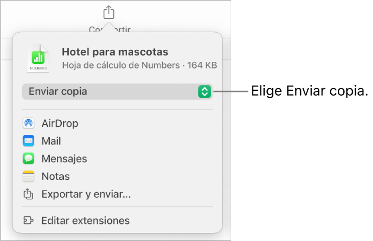 El menú Compartir con la opción Enviar copia seleccionada en la parte superior.