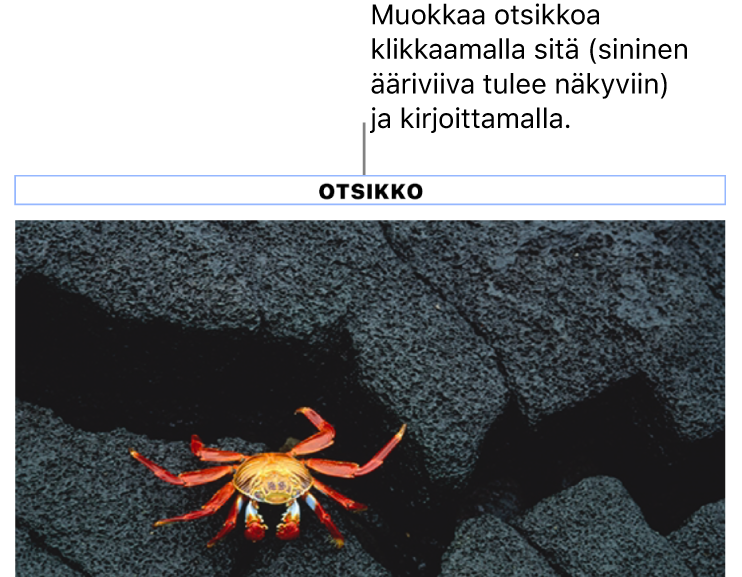 Paikanvaraajaotsikko ”Otsikko” näkyy kuvan alla, siniset ääriviivat otsikkokentän ympärillä osoittavat, että se on valittuna.