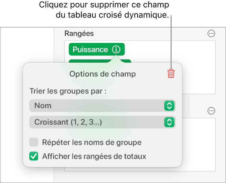 Menu Options de champ avec commandes de regroupement et de tri des données, ainsi que l’option de suppression de champ.