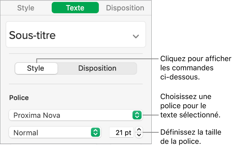 Commande de texte de la section Style de la barre latérale Format, permettant de configurer la police et la taille des caractères.